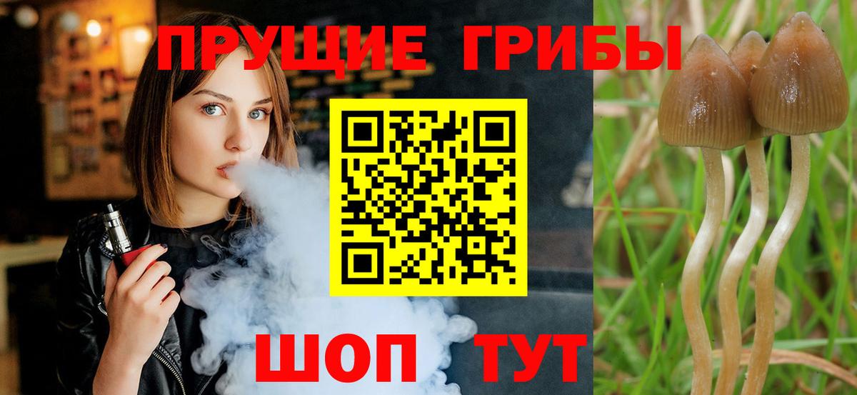 Псилоцибиновые грибы прущие грибы Таганрог
