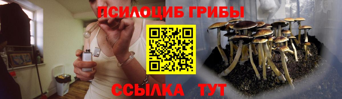 Таганрог  Галлюциногенные грибы Magic Shrooms  Галлюциногенные грибы прущие грибы  Вход с VPN 
